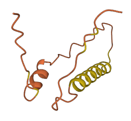 HSD52 3D structure