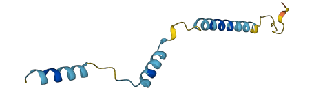 C17orf67 3D structure