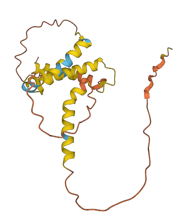 C2orf80 3D structure