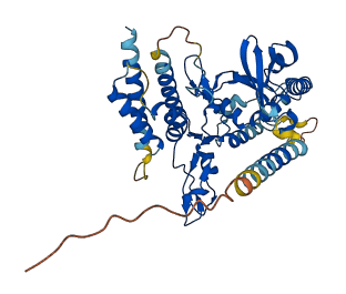 DIPK1C 3D structure
