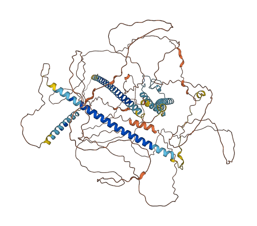 CCDC15 3D structure