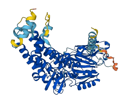 TMEM62 3D structure