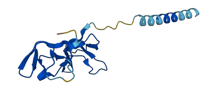 Bsph2 3D structure