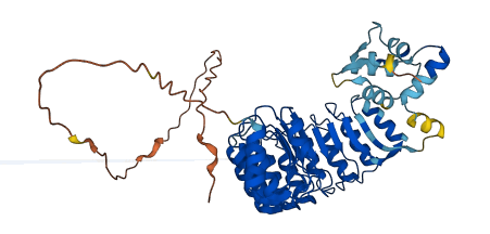 LRRC74A 3D structure