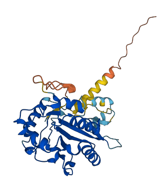 PLCXD2 3D structure