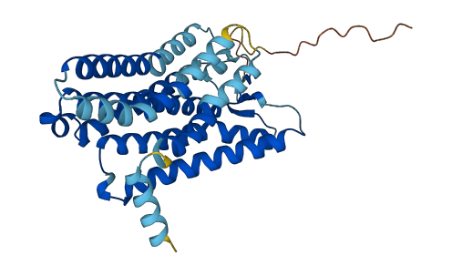 Olfr18 3D structure