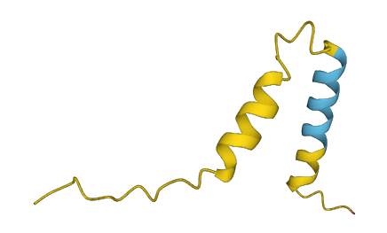 MIR22HG 3D structure