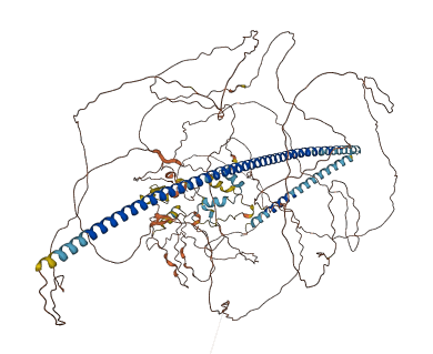 KIAA2012 3D structure