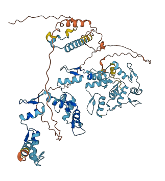 ZNF816 3D structure