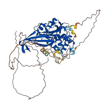 USP17L24 3D structure