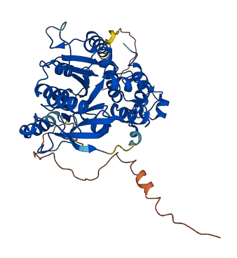 MGAT2 3D structure