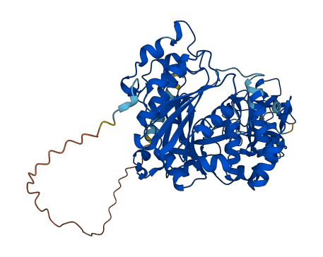 GALNT2 3D structure