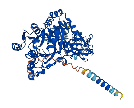 GALNT1 3D structure