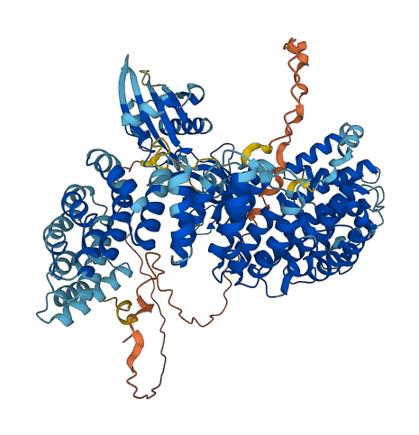 AP1B1 3D structure