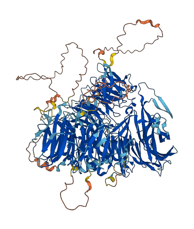 CPSF1 3D structure