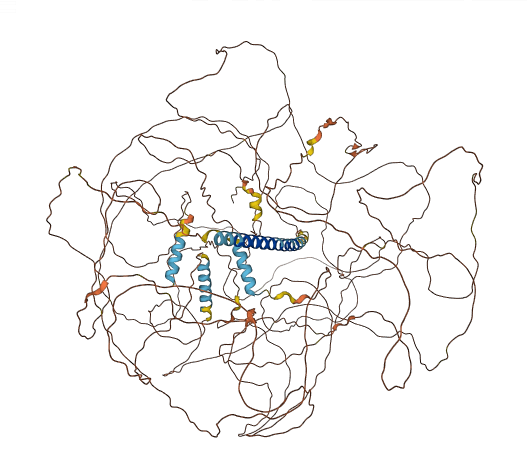 MN1 3D structure