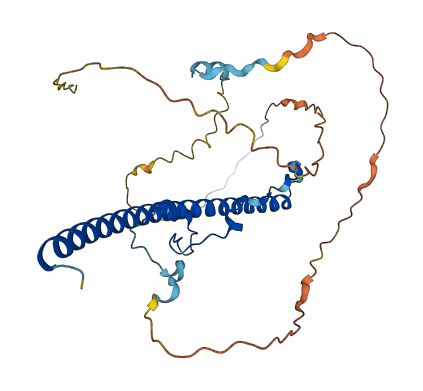 DBP 3D structure