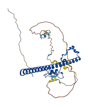 TEF 3D structure