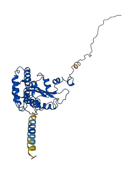 BST1 3D structure