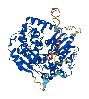 PMPCA 3D structure