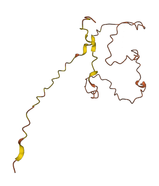KLKP1 3D structure