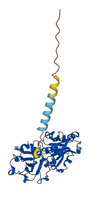 FUT7 3D structure