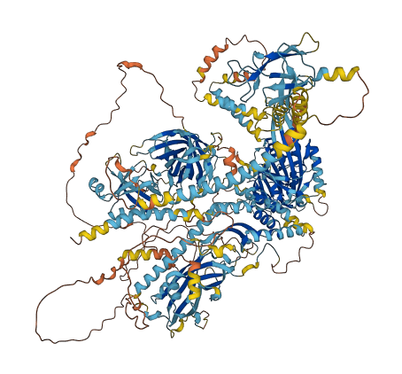 KIF1A 3D structure