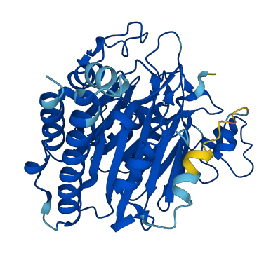 SCRN1 3D structure