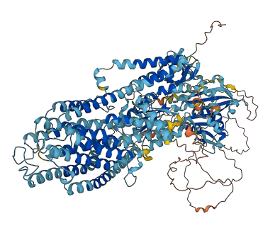 TMEM94 3D structure