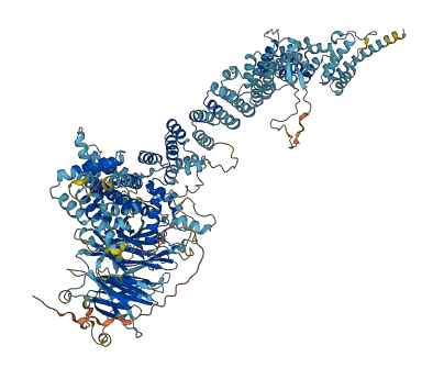 NUP160 3D structure