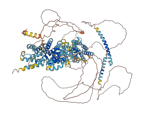 SREBF2 3D structure