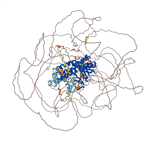ARHGEF5 3D structure