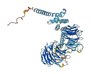TBL3 3D structure