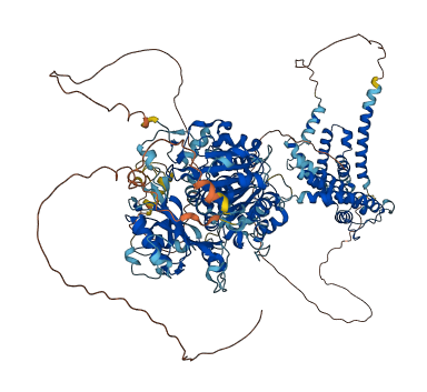 KCNMA1 3D structure