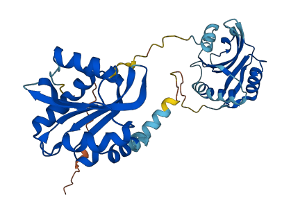 TWF1 3D structure