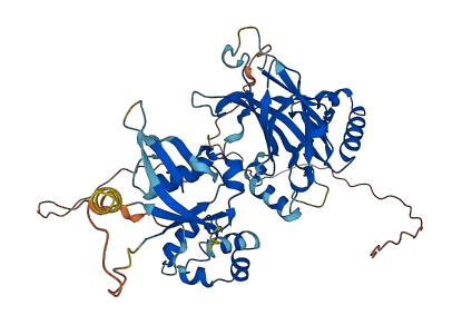 TFCP2 3D structure