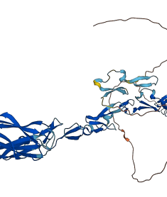 EFEMP1 3D structure