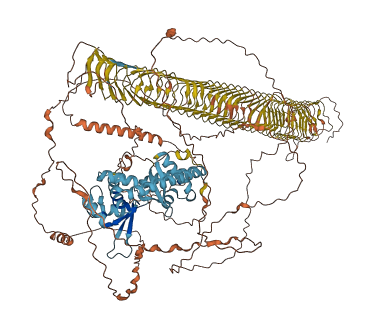 TRO 3D structure