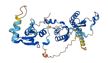 SMARCB1 3D structure
