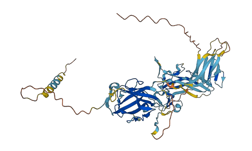 ZP4 3D structure