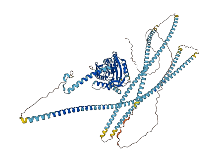 KIF5A 3D structure