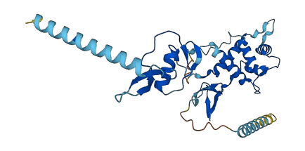 FSTL1 3D structure