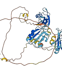 GRSF1 3D structure