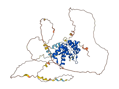 NFIA 3D structure