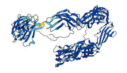 CNTN1 3D structure