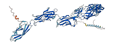CDH17 3D structure