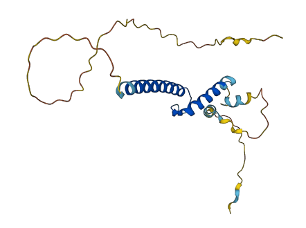 TCF15 3D structure