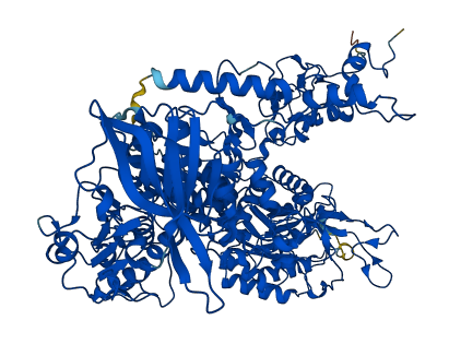DPYD 3D structure