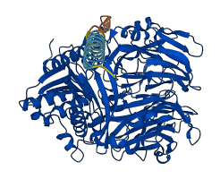 FAP 3D structure