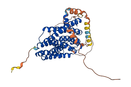 COX10 3D structure